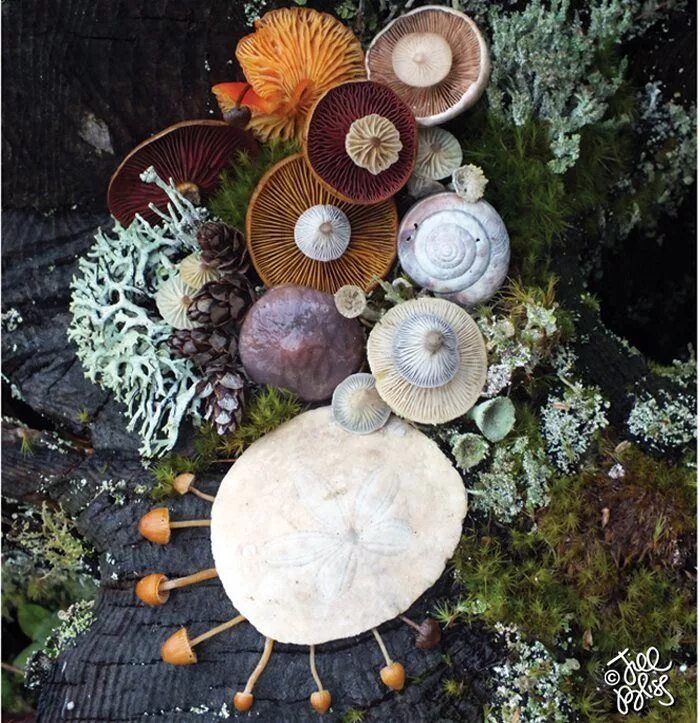 Natural objects. Natural objects