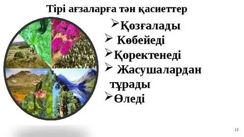 Сберкованың анальды секс порносын қараңыз