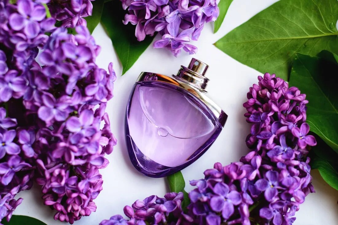 Bvlgari Omnia Amethyste. Булгари сирень духи. Bvlgari духи сирень. Булгари фиолетовые духи женские.