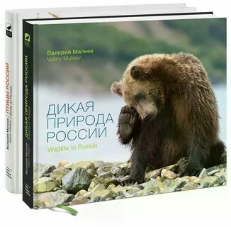 Книга дикая природа