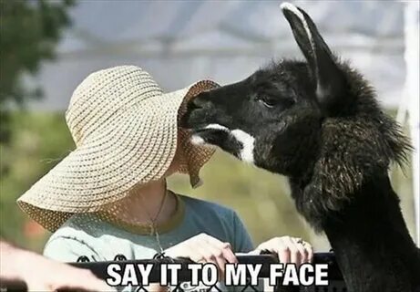 Really funny