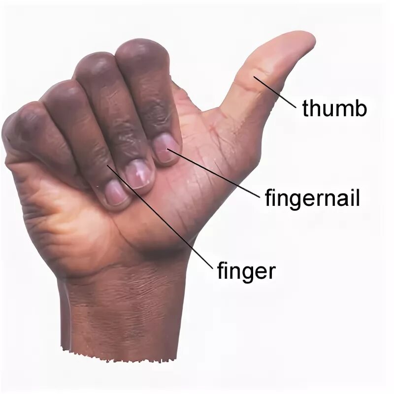 Fingering meaning