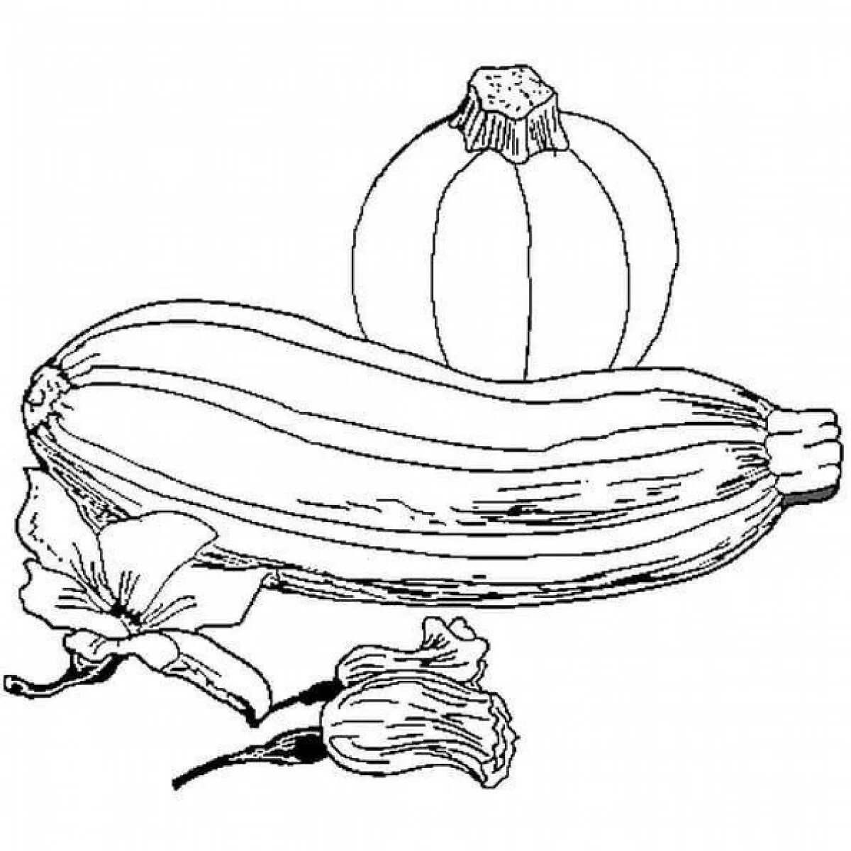 Кабачок раскраска. Раскраска овощи кабачок. Кабачок раскраска для детей. Огурец раскраска. Тыквой кабачком свеклой