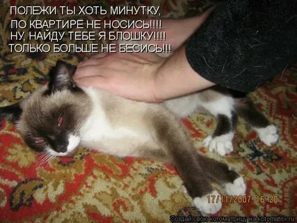 Ну найду