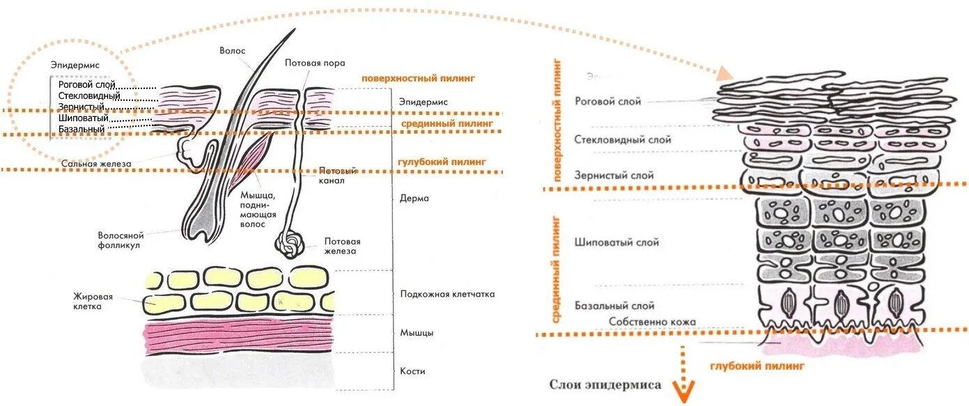 Как работает пилинг