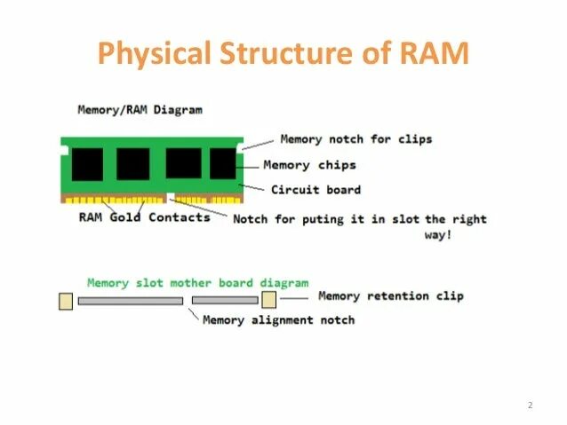 Physical structure. Physical structure
