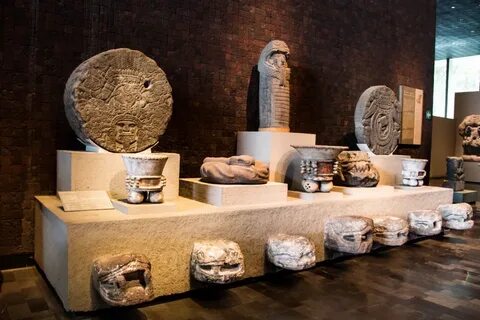 Museum anthropology
