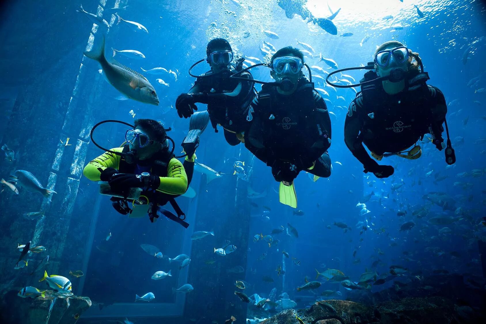 Скуба-дайвинг, Scuba-Diving погружение. Аланья дайвинг. Дайвинг в Алании Турция. Дубай дайвинг центр. Погружение на дно океана