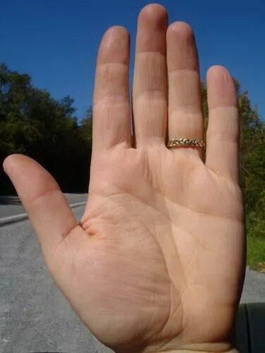 хиромантия вилки. линия жизни раздваивается в конце. хиромантия вилки. хиромантия трезубец на линии судьбы. линия жизни.