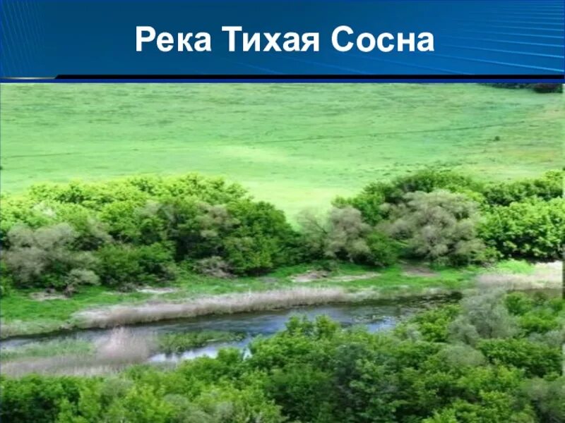 Впадение реки Тихая сосна в Дон. Тихая сосна. Река Тихая сосна. Река Тихая сосна Воронежская область.