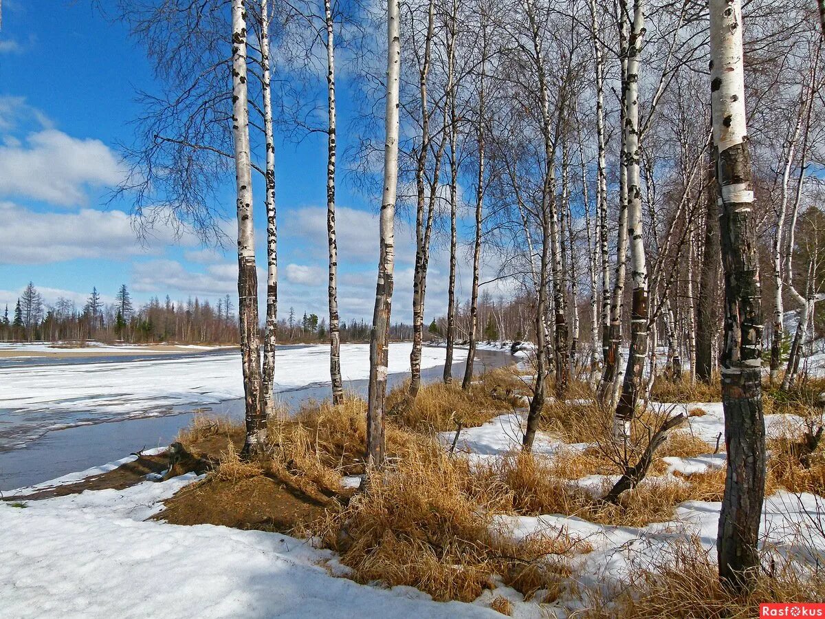 Весенняя панорама природа. Весна. Весенний пейзаж гуашью для детей. Весенняя природа для детей. Весна в россии.