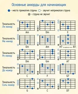 Как научиться играть на гитаре за 30 дней Flower Swamp Дзен