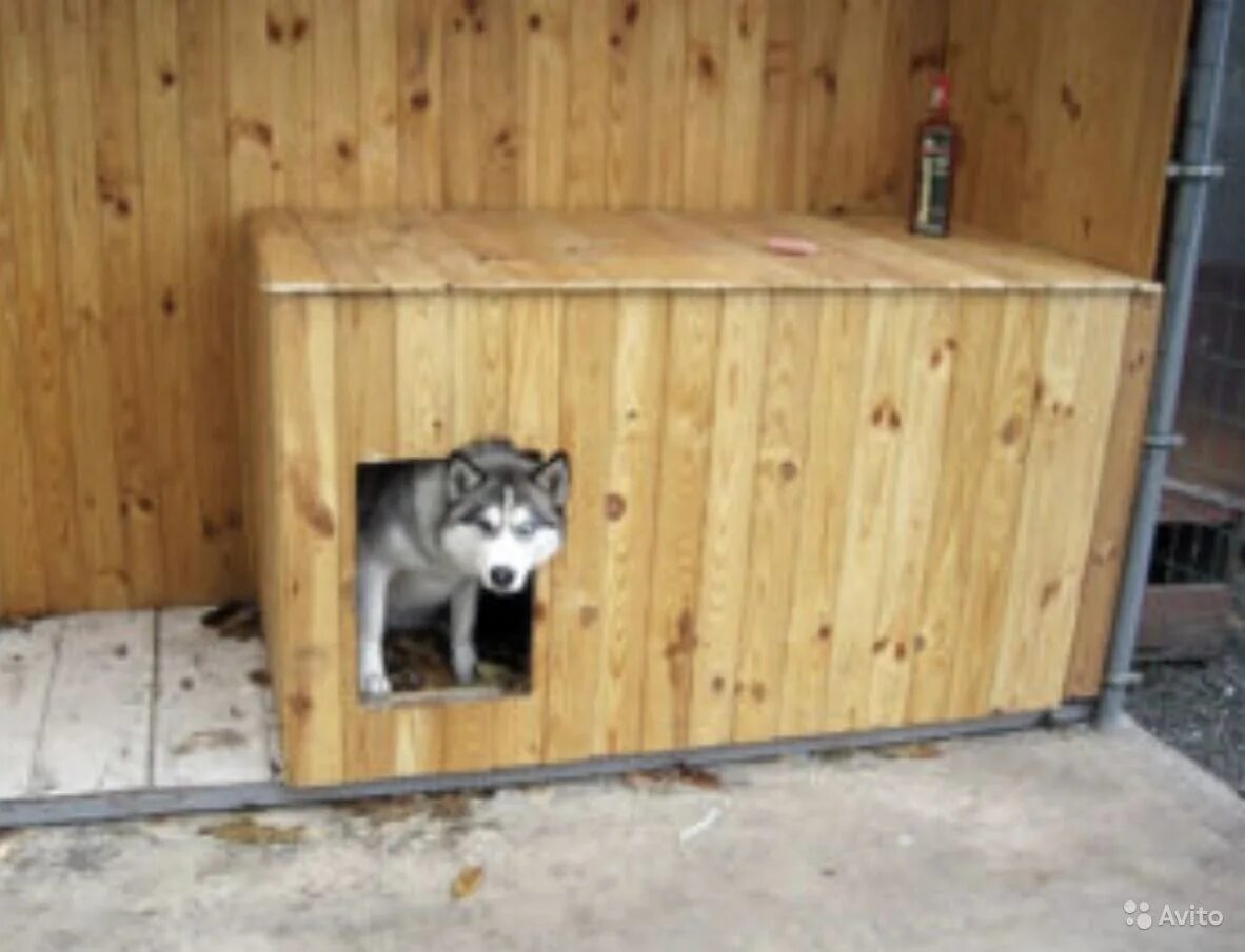 Будка конура для немецкой овчарки размер. Будка для собаки маламута. Будка для хаски размеры. Будка для хаски размеры. Будка для собаки чертеж для немецкой овчарки.