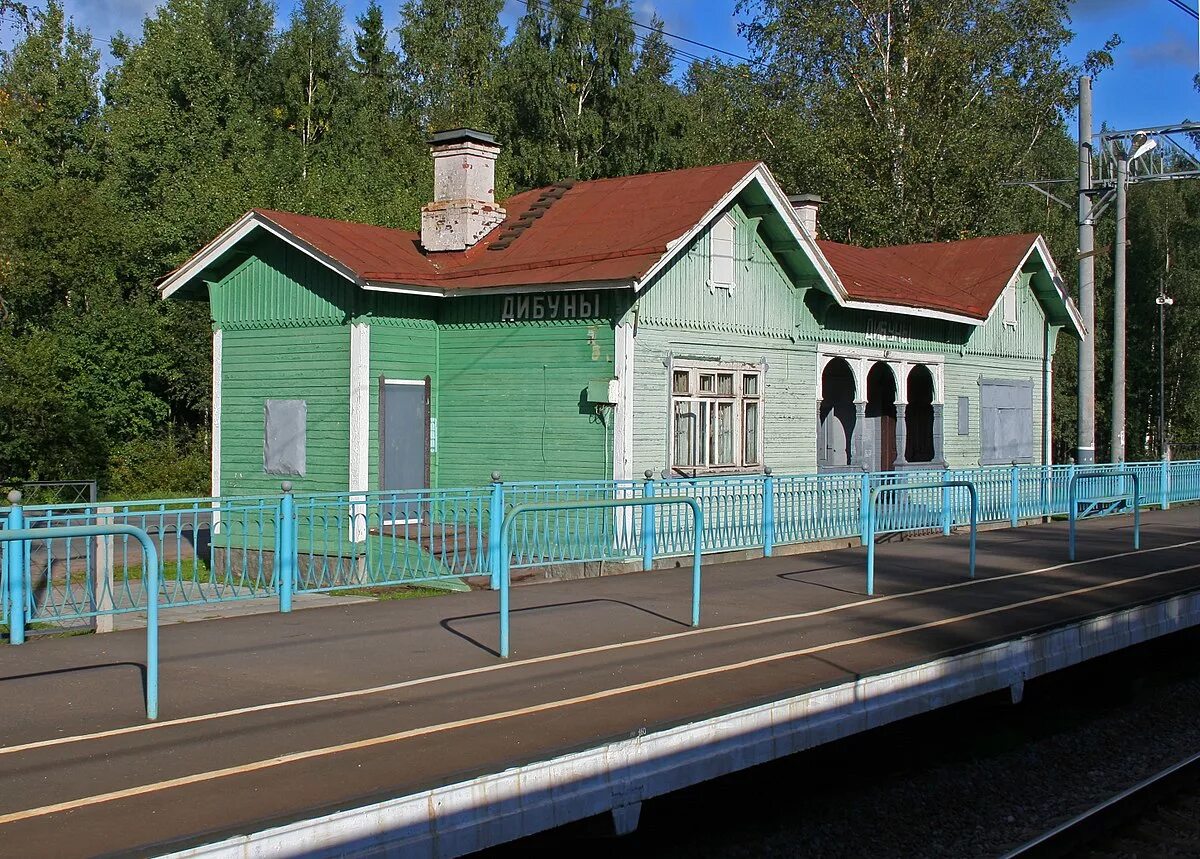 Станция песочная. Станция песочная. Станция пригородная ленинградская область. Станция песочная. Пески радьковские.