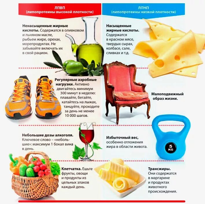 Повышенные липопротеиды высокой плотности. Продукты содержащие холестерин. продукты содержащие плохой холестерин. продукты с липопротеинами высокой плотности. где содерлится холестин.