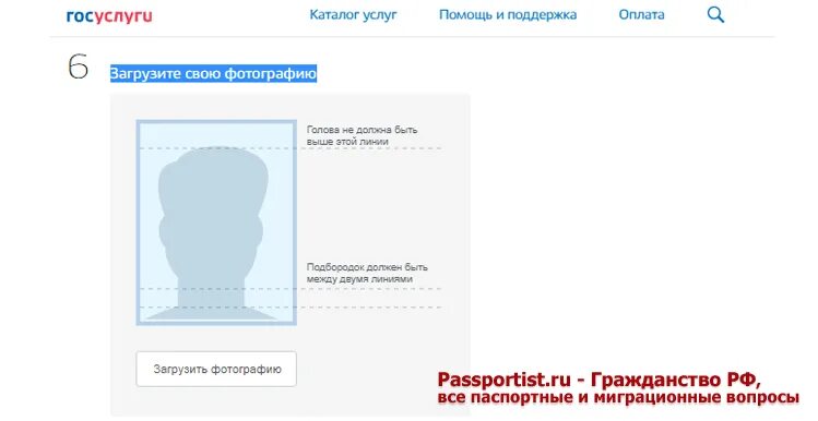 Госуслуги требования на фотографию. Образец фото на госуслуги. Фотография для госуслуг. Госуслуги требования на фотографию. Госуслуги требования на фотографию.