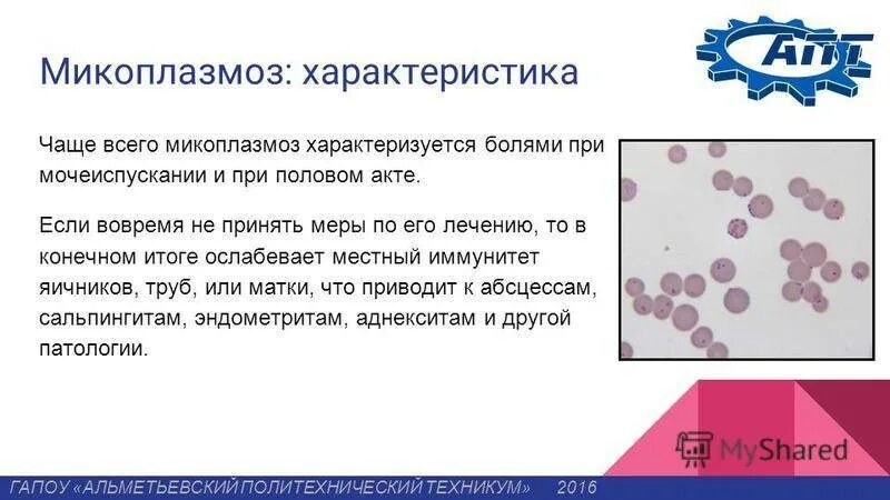 Лечение микоплазмоза у женщин. Признаки микоплазмоза. Микоплазмоз возбудитель.