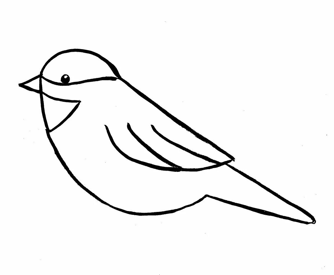 Птицы для срисовки. Синичка рисунок для детей. Рисунок птицы карандашом для срисовки. Синичка раскраска для детей.