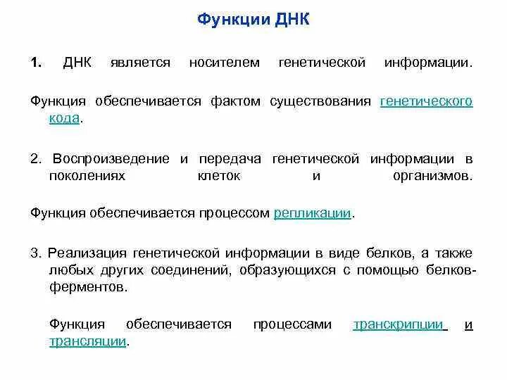 Белки наследственная функция. Функции ДНК. Роль ДНК. Основные функции ДНК.