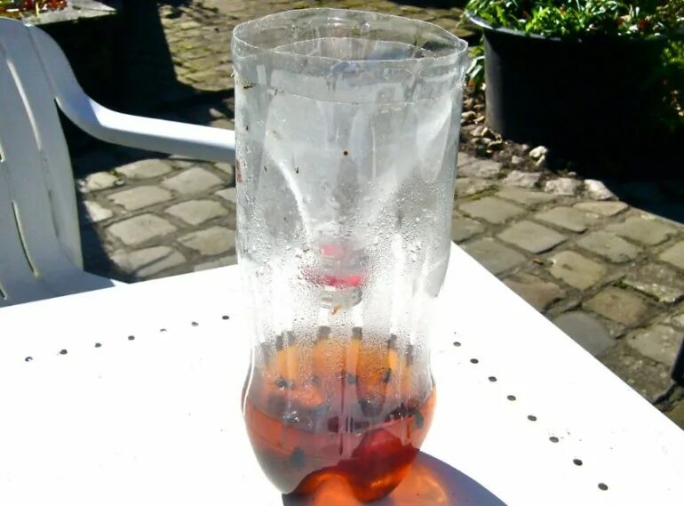 ловушка для мух из бутылки. самодельные ловушки для насекомых. ловушка для мух из бутылки. ловушка от мух из пластиковой бутылки. ловушка на ос из полторашки.