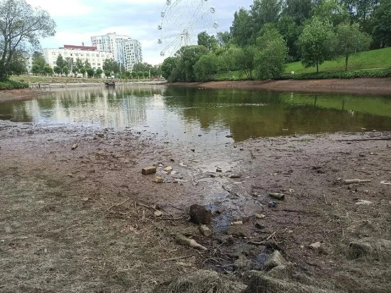 Спускаем пруд. Спуск воды из пруда. Спуск к пруду. Пруд для купания с биоплато. Плотина платоновский парк тула.