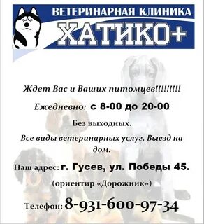 Отзывы клиники хатико