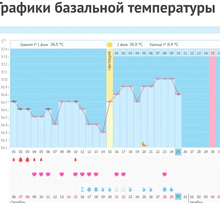 Интернет магазине бт техника