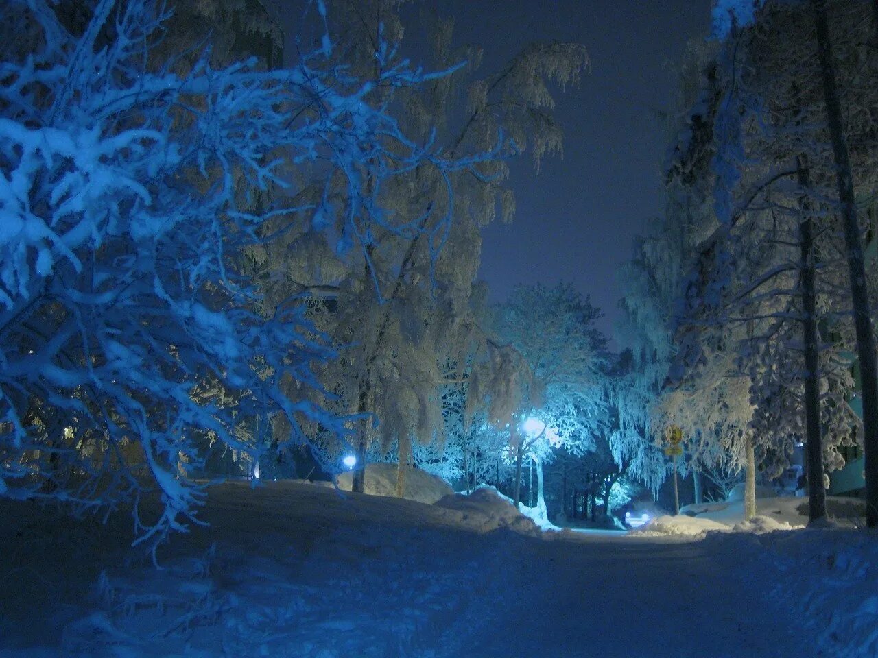 Картинка снег ночью. Зима ночь. Зимний лес ночью. Зимний вечер. Морозная ночь.