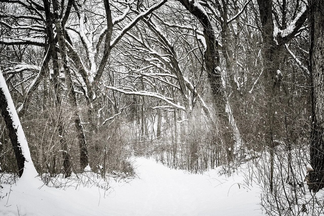 It was a Cold the Woods картинки. The Wood is Cold. Почему зимой металл на ощупь холоднее дерева