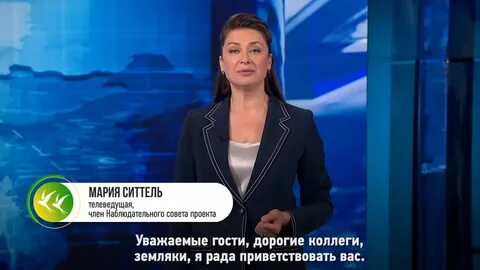 Мокы