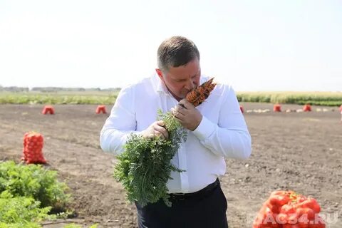 Фермерском волгоград