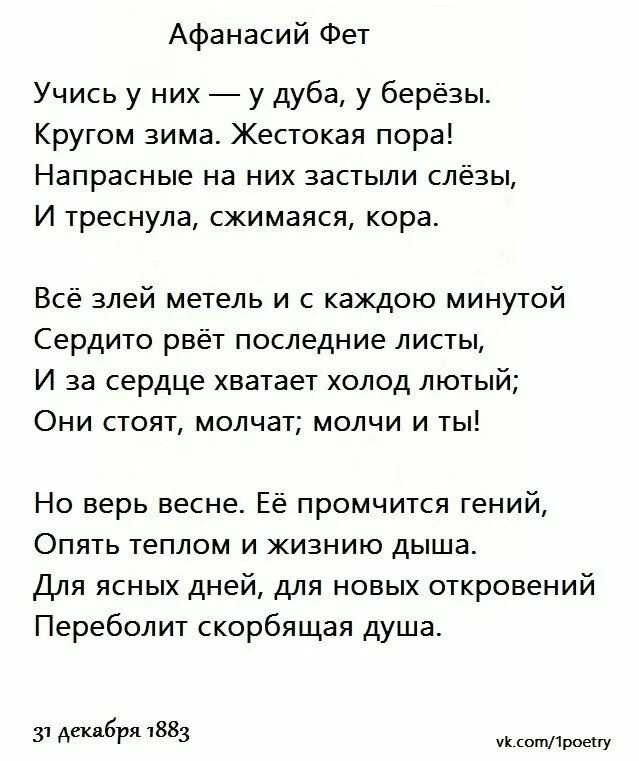 Стих у дуба у березы. Стихотворение учись у них у дуба у березы. Стихотворение учись у них. Стихотворение фета у дуба у березы. Стихотворение фета учись у них у дуба у березы.