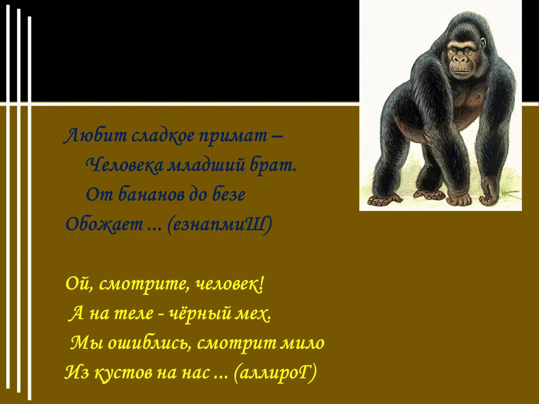 Житков про обезьянку. Рассказ про обезьянку 3 класс. Б Житков про обезьянку. Про обезьяну план 3 класс.