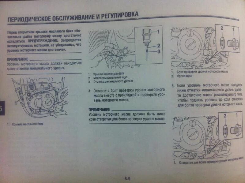 Мопед альфа какое масло залить в двигатель