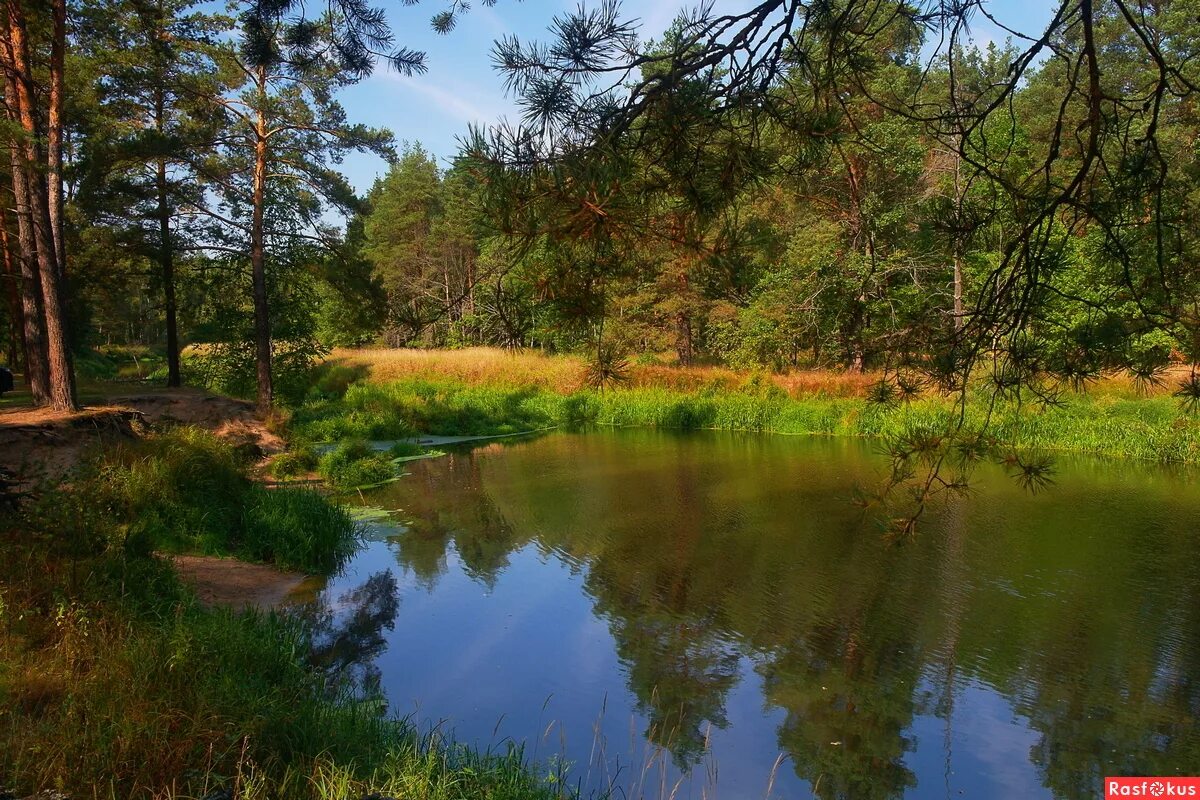 File:Nerskaya River 2016-08-13 15-32-11 IMG 9783 (32652130802).jpg - Wikimedia C