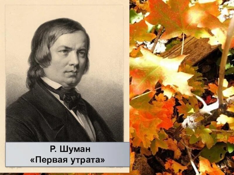 Р шуман первая утрата. Р шуман первая утрата. Р шуман первая утрата. Шуман первая утрата. Шуман альбом для юношества первая утрата.