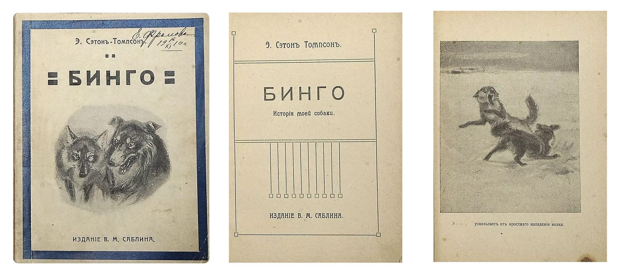 Бинго рассказ. Бинго на русском. Бинго рассказ. Э сетон томпсон. Вулли сетон томпсон.