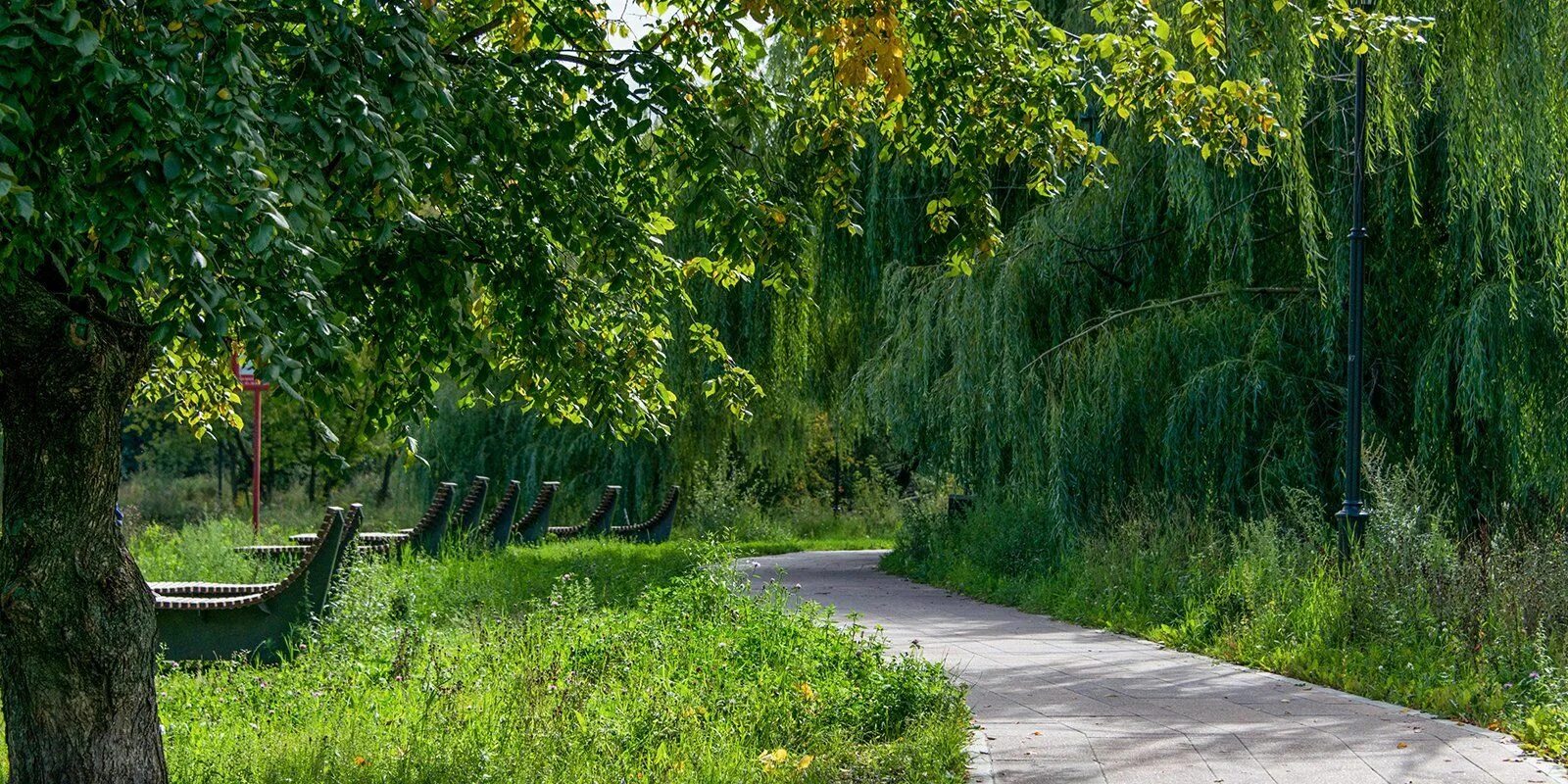 Зеленый парк Москва. Зеленые парки. Зеленые парки Москвы. Парки для прогулок.