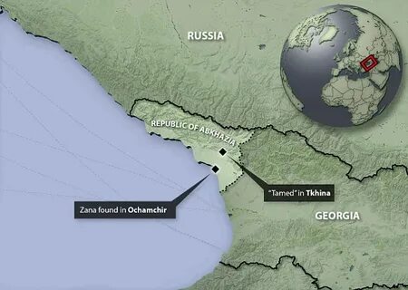 Занны или заны