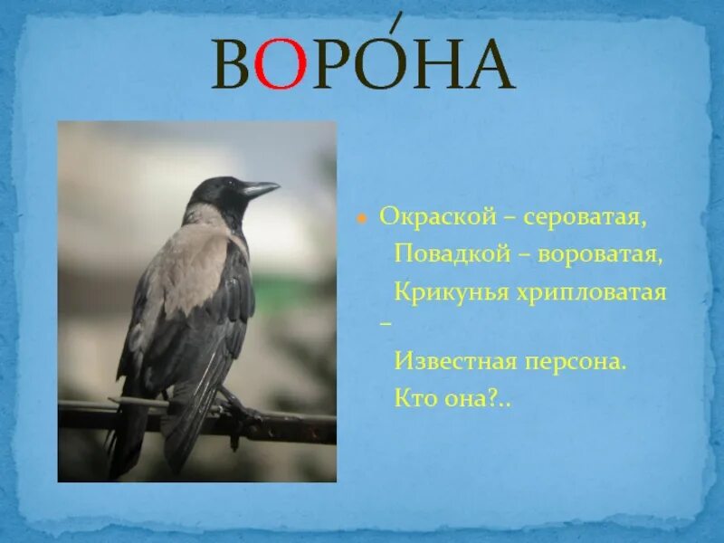 Составь слова ворона. Слово ворона. Ворон слово. Словарное слово ворона в картинках. Ворона со словом.