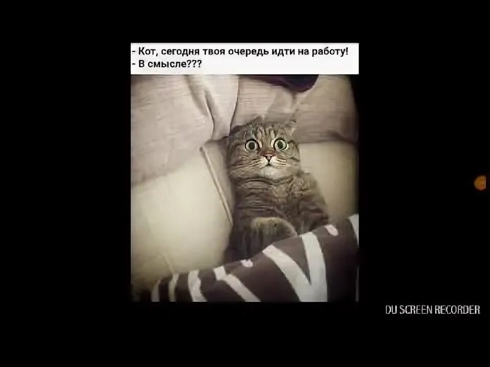 Сегодня я твоя
