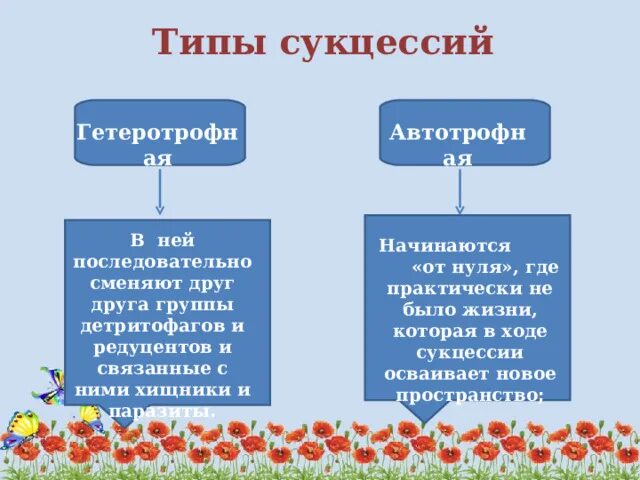 Автотрофная и гетеротрофная сукцессии. Типы сукцессий. Автотрофные и гетеротрофные сукцессии примеры. Гетеротрофная экологическая сукцессия.