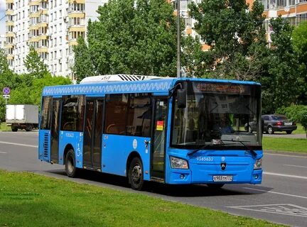 Маршрутка малаховка