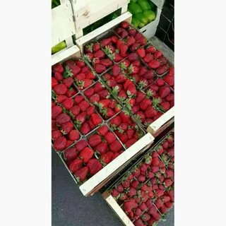 Продам клубнику свежую