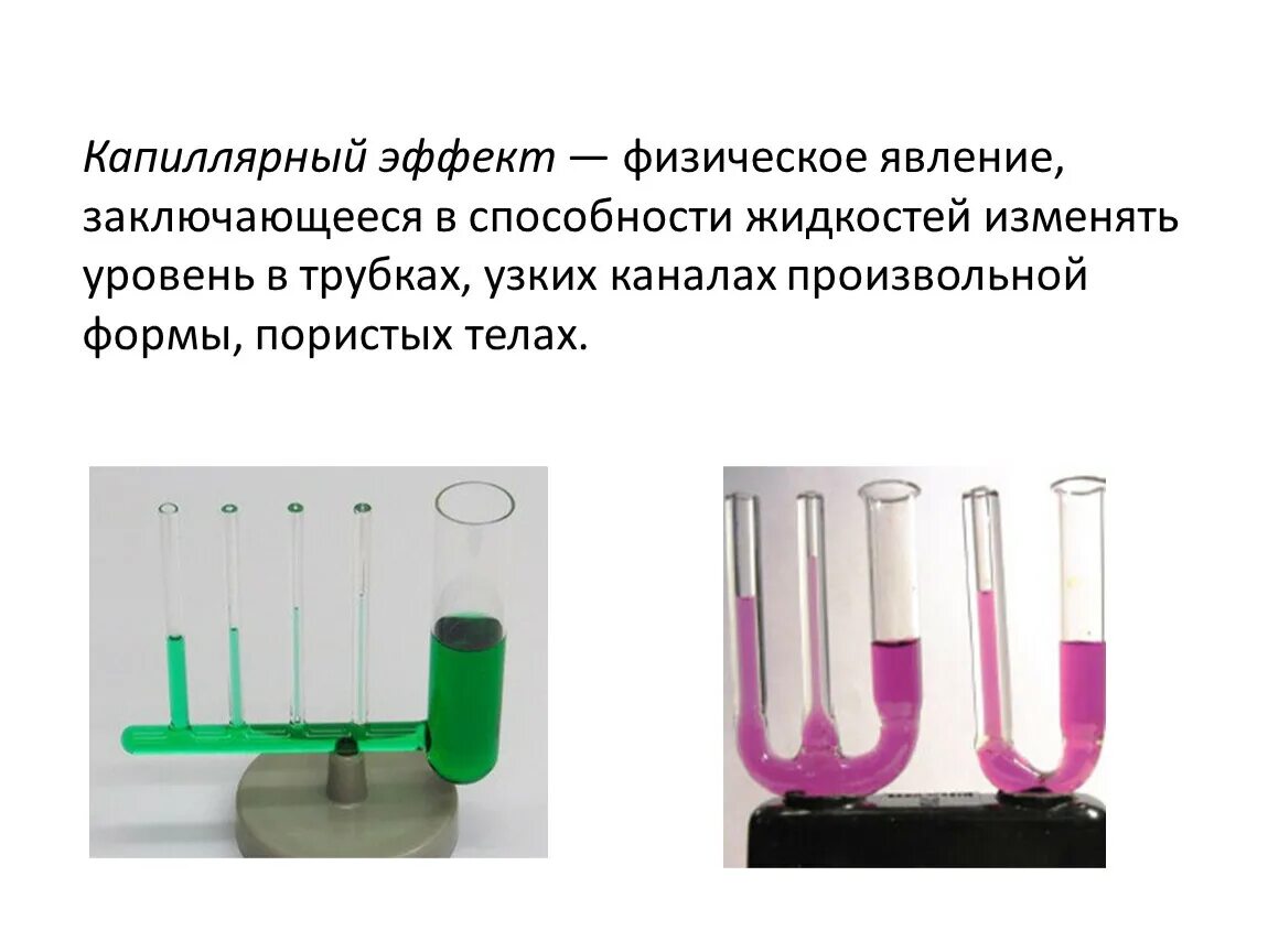Жидкость капиллярное явление. Капиллярные явления физика 10 класс. Капиллярные трубки физика. Поверхностное натяжение жидкостей смачивание капиллярные явления. Капиллярность капиллярные явления в природе.