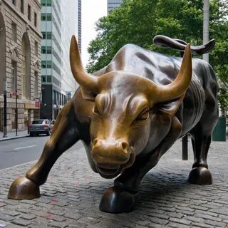 The bull