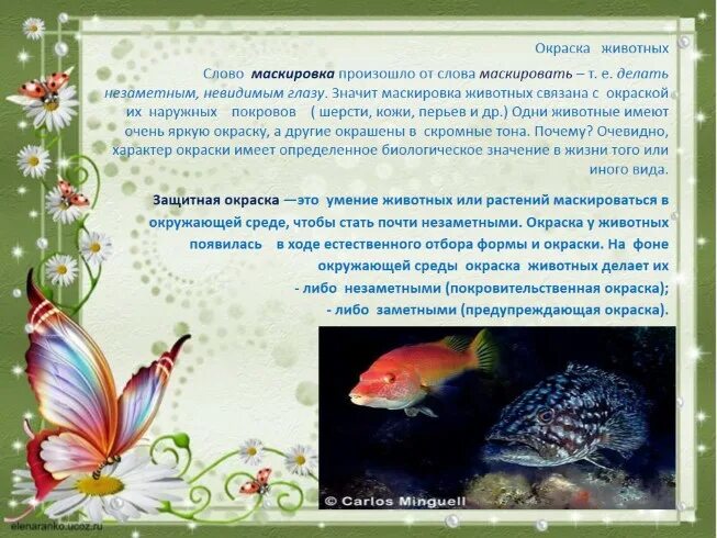 Камуфляж лес. Маскировка текста. Камуфляж для охоты на гуся. Ооо практика маскировка. Маскировка текста.