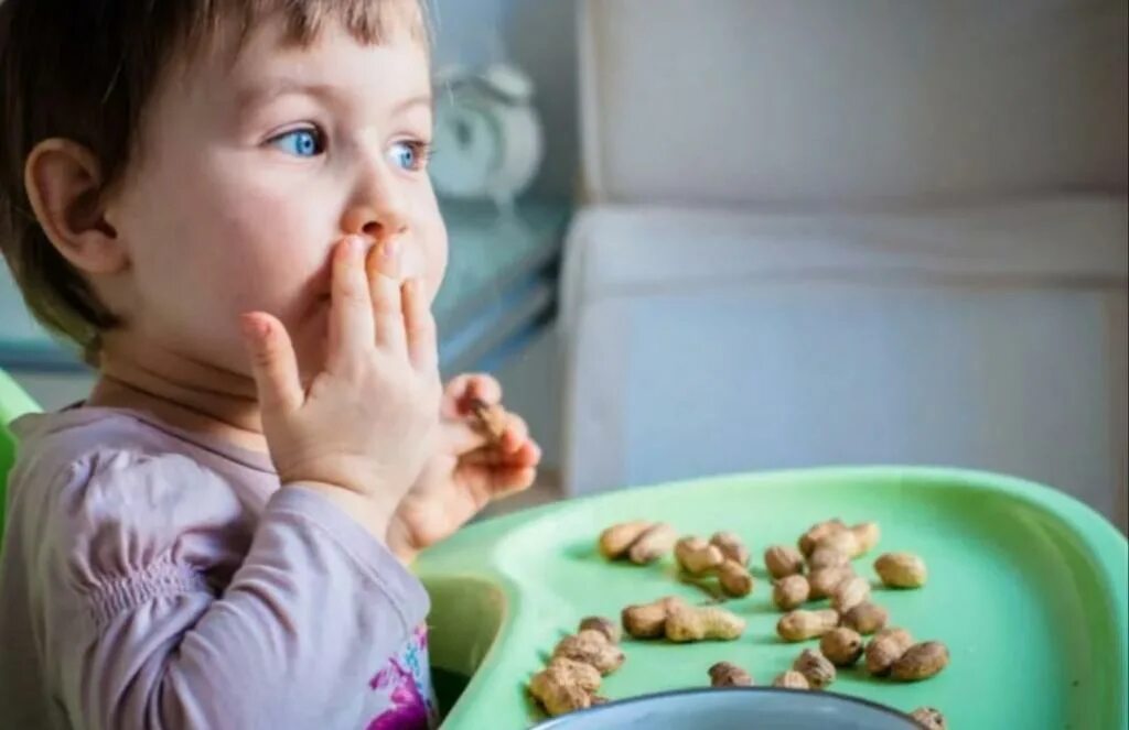 Орехи кешью витамины. Когда ребенку можно давать орехи. С какого возраста можно давать ребёнку орехи. Когда ребенку можно давать орехи. Дав с фундуком.