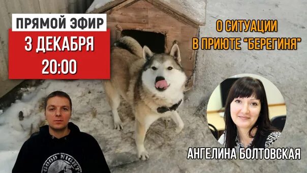 Приют берегиня деревня головково 2025 г. Берегиня приют для животных наро-фоминск. наро-фоминский приют для бездомных животных берегиня. приют наро-фоминск для собак. центр помощи животным наро-фоминск.