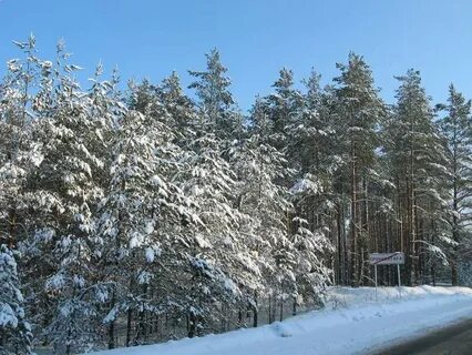 Бронная гора